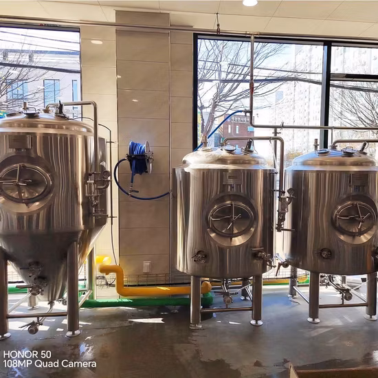 5bbl 10bbl 5hl 10hl Equipamento de cervejaria de cerveja em aço inoxidável Projeto chave na mão para máquina de micro cerveja para venda